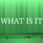 Play What Is It