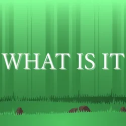 Play What Is It