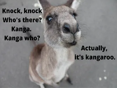 Knock Knock