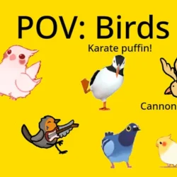 Play Pov What Birds Do In Their Free Time